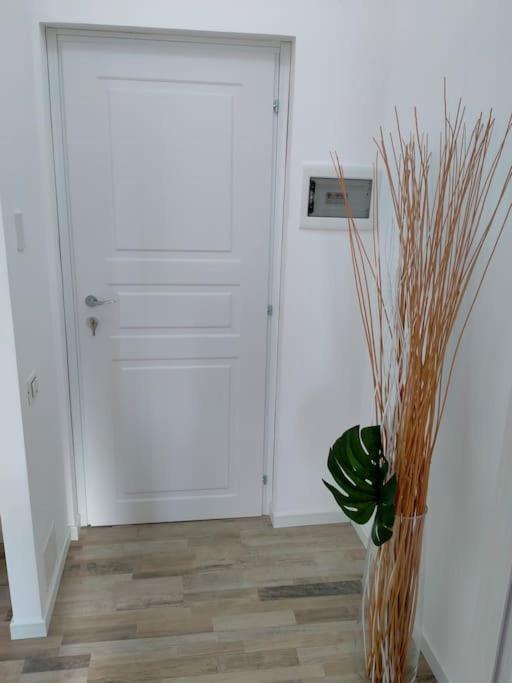 Suite Room Malpensa B&B การ์ดาโน อัล กัมโป ภายนอก รูปภาพ